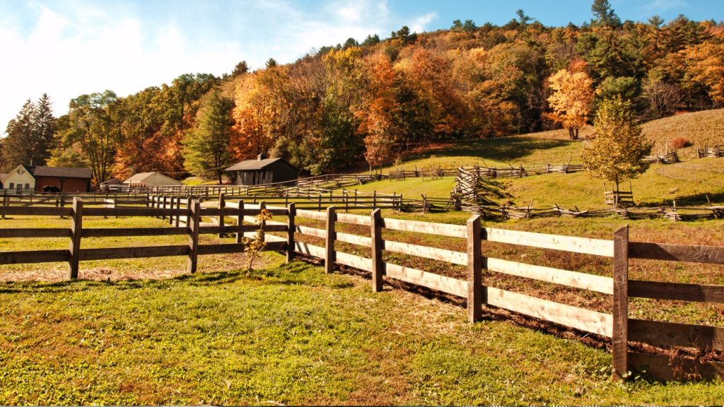 Farm Fence in West Linn OR