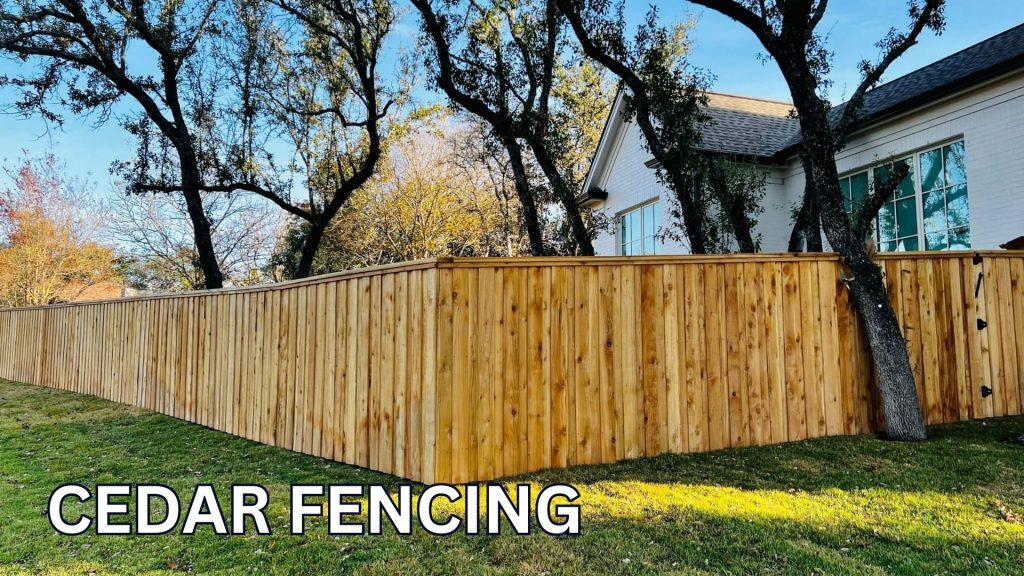 Cedar Fencing